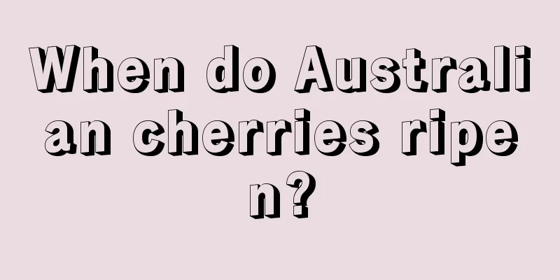 When do Australian cherries ripen?