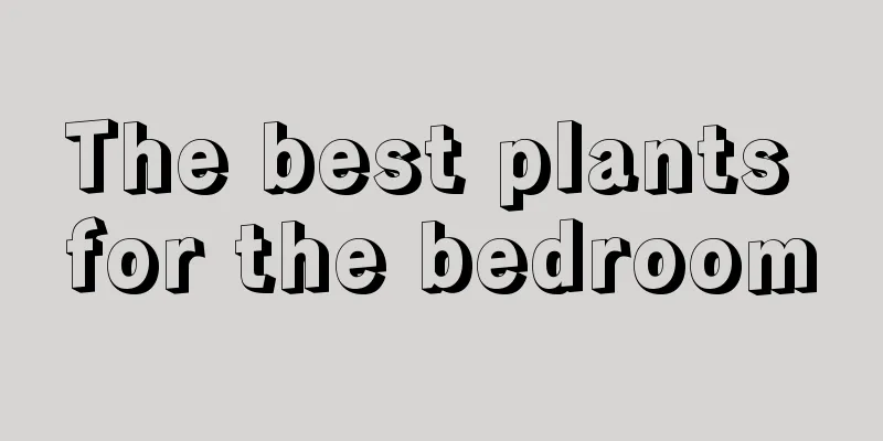 The best plants for the bedroom