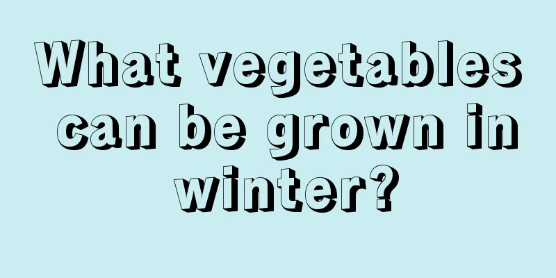 What vegetables can be grown in winter?