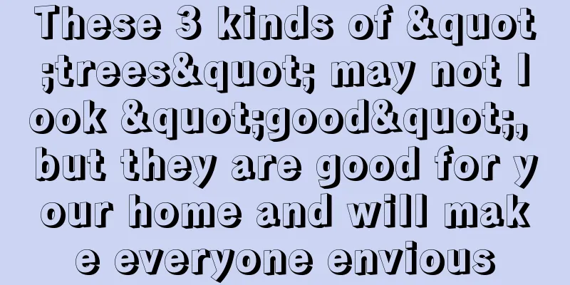 These 3 kinds of "trees" may not look "good", but they are good for your home and will make everyone envious