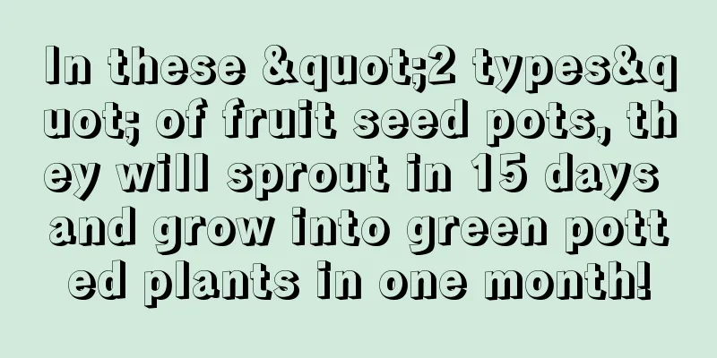 In these "2 types" of fruit seed pots, they will sprout in 15 days and grow into green potted plants in one month!