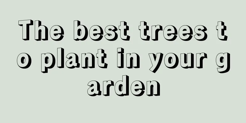 The best trees to plant in your garden