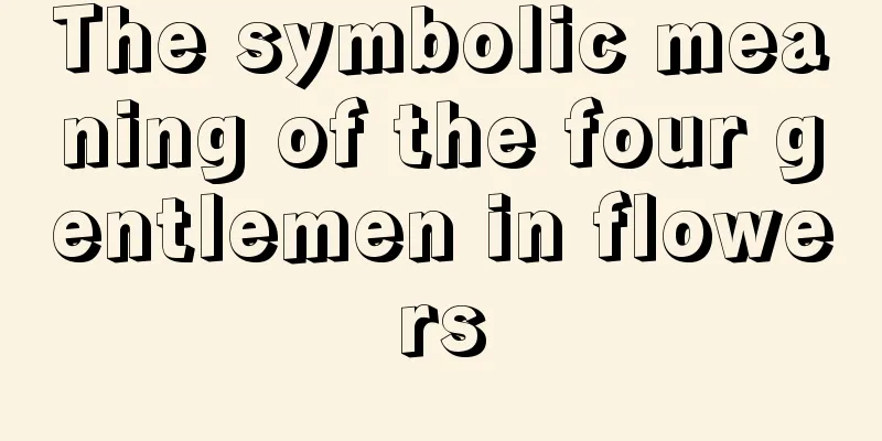 The symbolic meaning of the four gentlemen in flowers