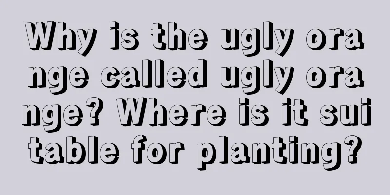 Why is the ugly orange called ugly orange? Where is it suitable for planting?