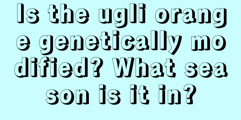 Is the ugli orange genetically modified? What season is it in?