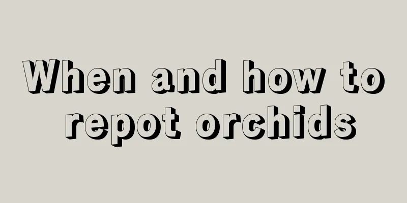 When and how to repot orchids