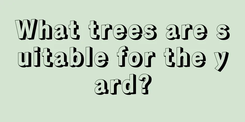 What trees are suitable for the yard?