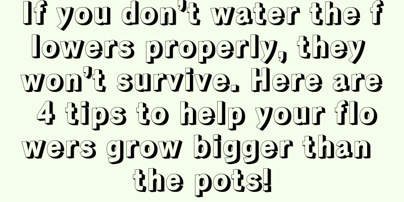 If you don’t water the flowers properly, they won’t survive. Here are 4 tips to help your flowers grow bigger than the pots!