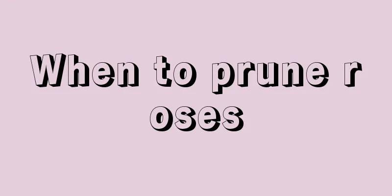 When to prune roses