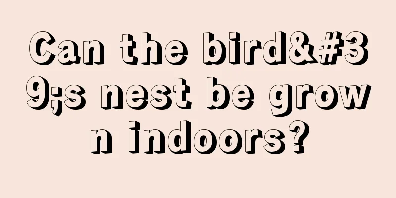 Can the bird's nest be grown indoors?