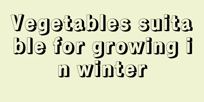 Vegetables suitable for growing in winter