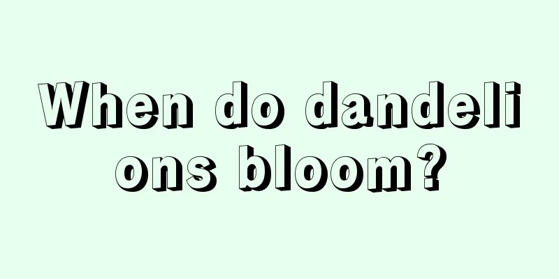 When do dandelions bloom?