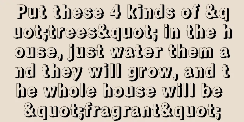 Put these 4 kinds of "trees" in the house, just water them and they will grow, and the whole house will be "fragrant"