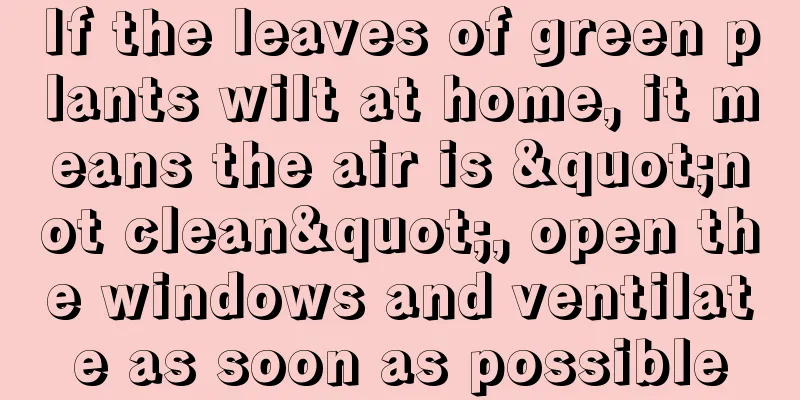 If the leaves of green plants wilt at home, it means the air is "not clean", open the windows and ventilate as soon as possible