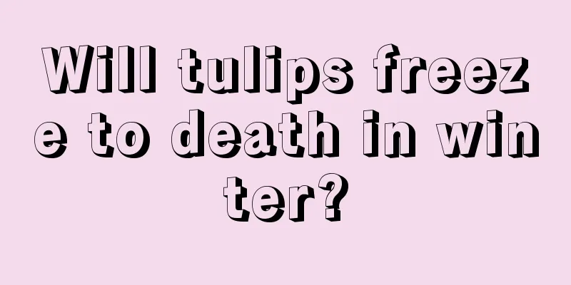 Will tulips freeze to death in winter?