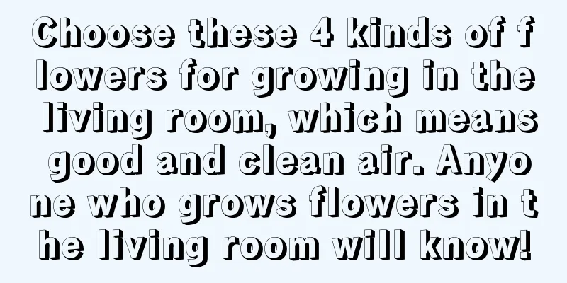 Choose these 4 kinds of flowers for growing in the living room, which means good and clean air. Anyone who grows flowers in the living room will know!