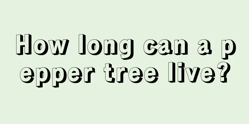 How long can a pepper tree live?