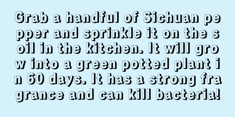 Grab a handful of Sichuan pepper and sprinkle it on the soil in the kitchen. It will grow into a green potted plant in 60 days. It has a strong fragrance and can kill bacteria!