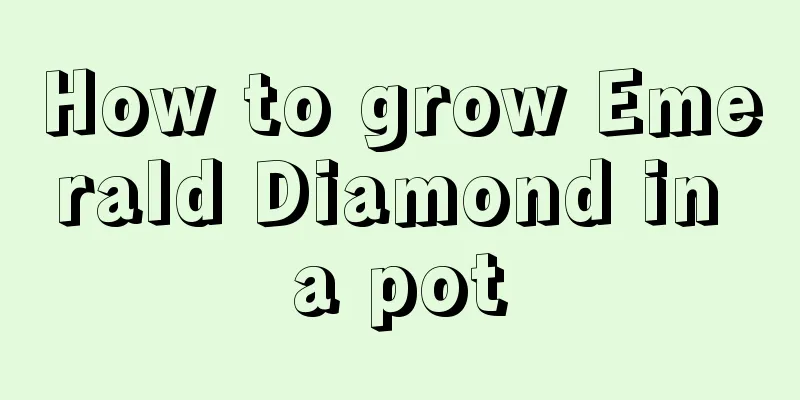 How to grow Emerald Diamond in a pot