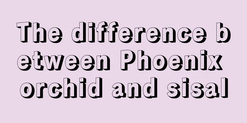 The difference between Phoenix orchid and sisal