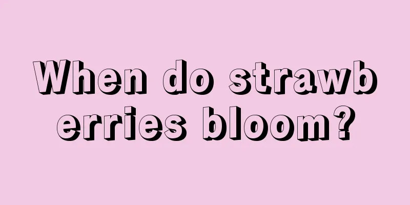 When do strawberries bloom?