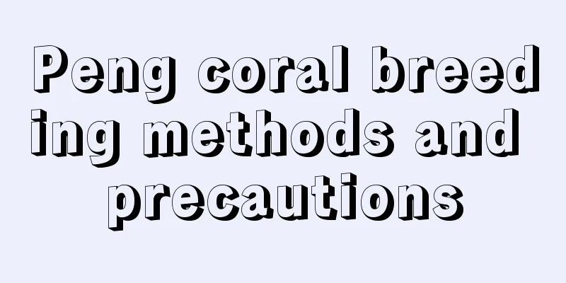 Peng coral breeding methods and precautions