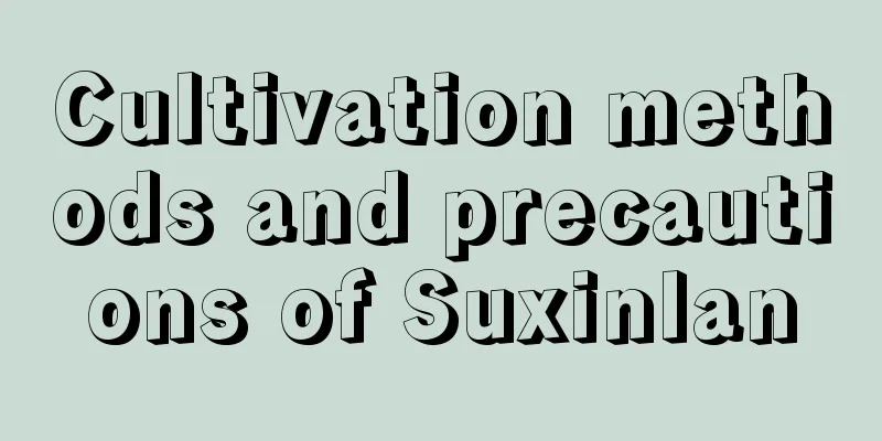 Cultivation methods and precautions of Suxinlan