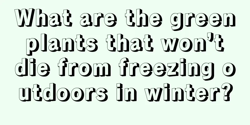 What are the green plants that won’t die from freezing outdoors in winter?