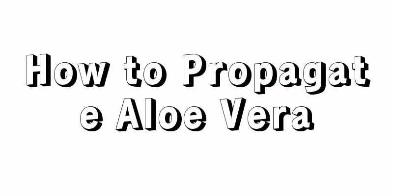 How to Propagate Aloe Vera