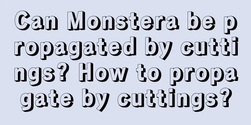 Can Monstera be propagated by cuttings? How to propagate by cuttings?