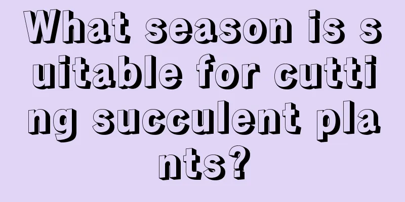 What season is suitable for cutting succulent plants?