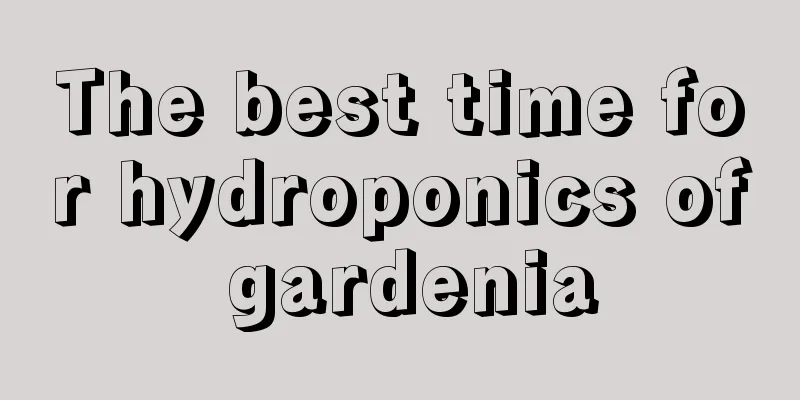 The best time for hydroponics of gardenia