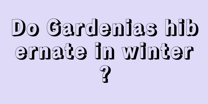 Do Gardenias hibernate in winter?