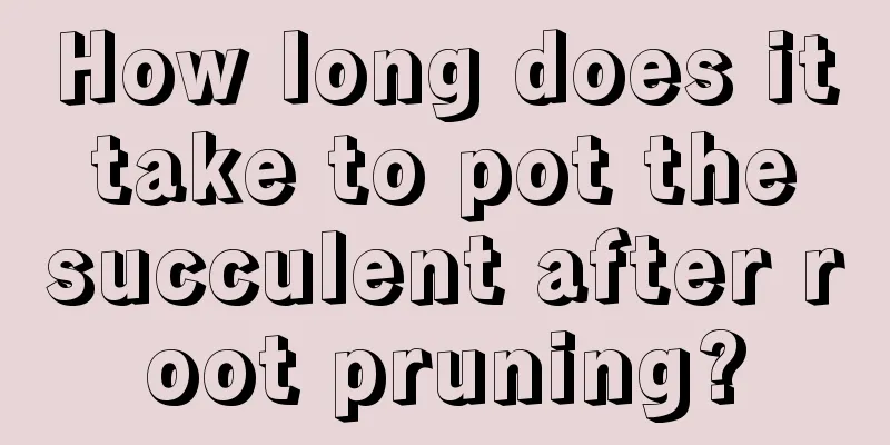 How long does it take to pot the succulent after root pruning?