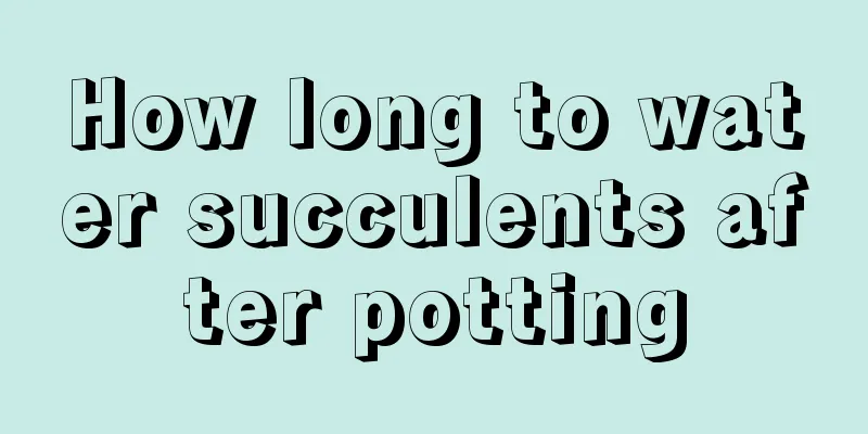 How long to water succulents after potting