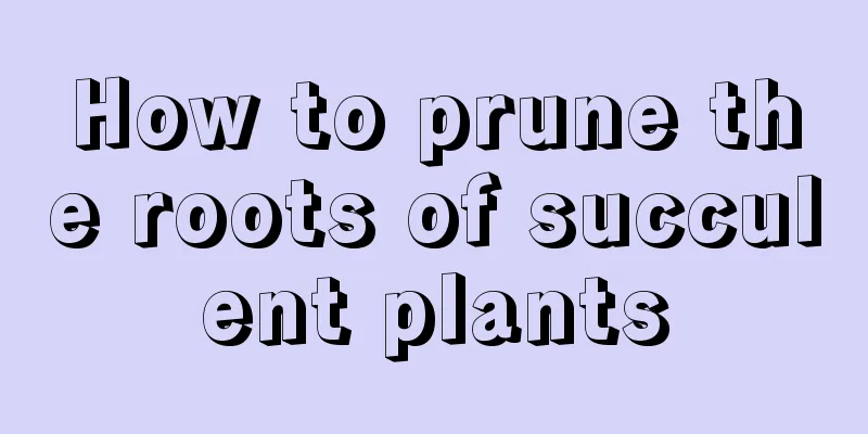 How to prune the roots of succulent plants