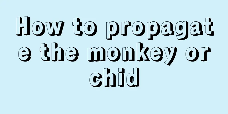 How to propagate the monkey orchid