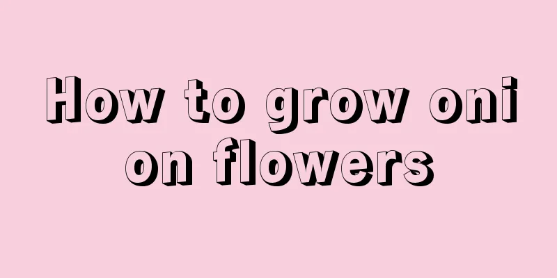 How to grow onion flowers