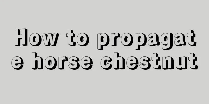 How to propagate horse chestnut