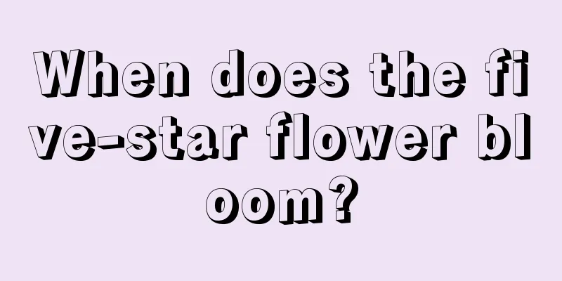 When does the five-star flower bloom?