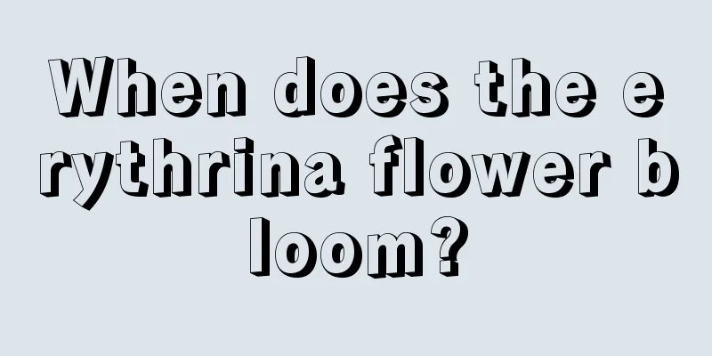 When does the erythrina flower bloom?