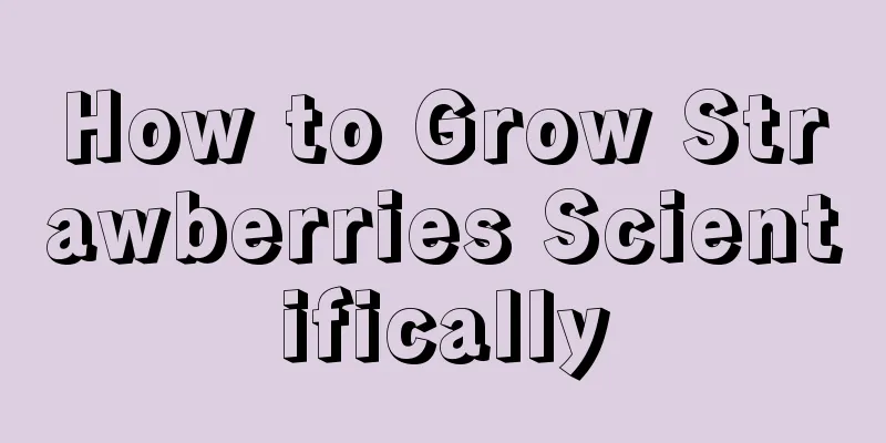 How to Grow Strawberries Scientifically