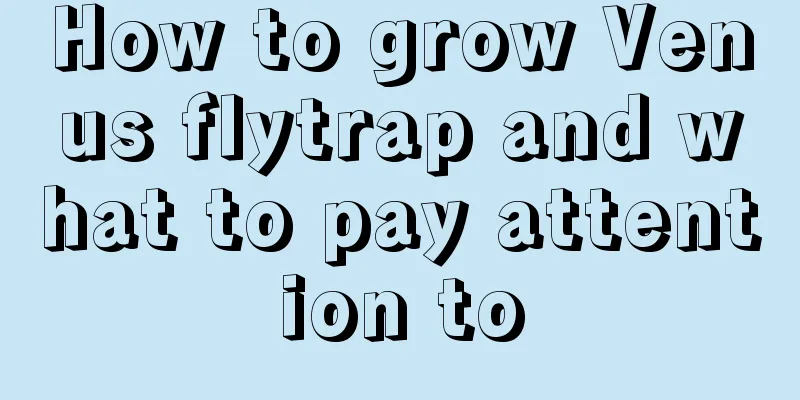 How to grow Venus flytrap and what to pay attention to