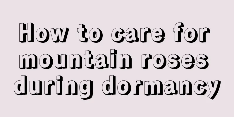 How to care for mountain roses during dormancy