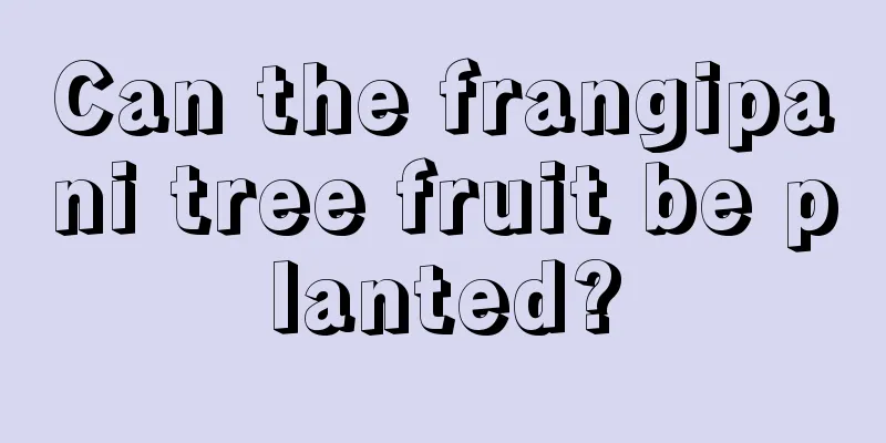 Can the frangipani tree fruit be planted?