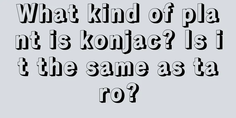 What kind of plant is konjac? Is it the same as taro?