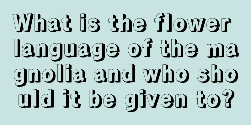 What is the flower language of the magnolia and who should it be given to?