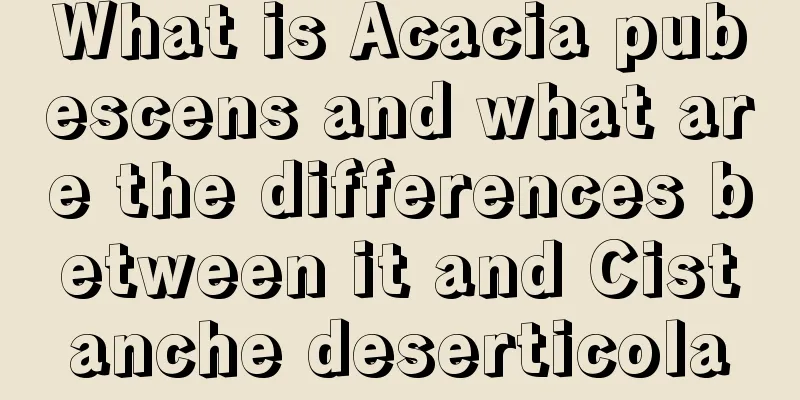 What is Acacia pubescens and what are the differences between it and Cistanche deserticola