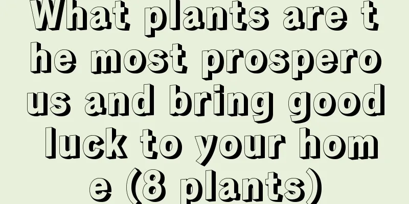 What plants are the most prosperous and bring good luck to your home (8 plants)