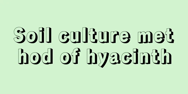 Soil culture method of hyacinth